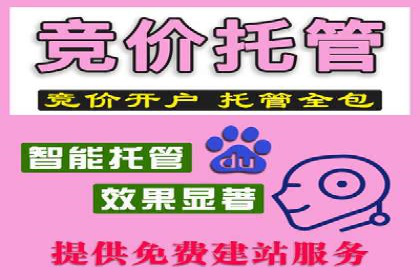 SEM竞价代运营：案例展示数据分析与应用